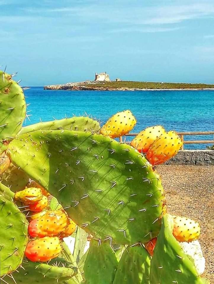 Villa Casa Guttuso 1 Portopalo Di Capo Passero Esterno foto